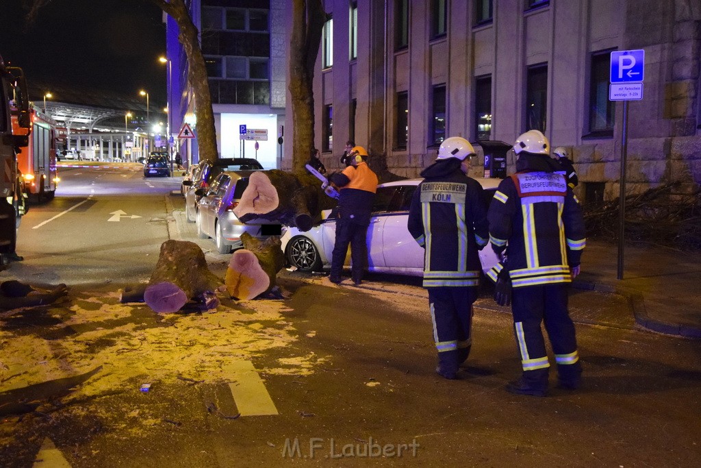 Baum auf PKWs Koeln Mitte Rheinuferstr Goldgasse P072.JPG - Miklos Laubert